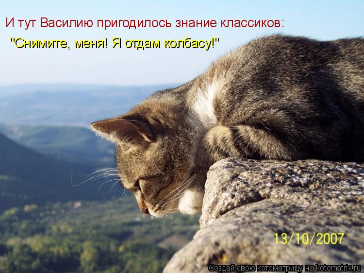 "Снимите, меня! Я отдам колбасу!" И тут Василию пригодилось знание классиков:... Котоматрица: "Снимите, меня! Я отдам колбасу!" И тут Василию пригодилось знание классиков: