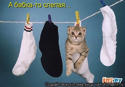 А бабка-то слепая...... Котоматрица: А бабка-то слепая...