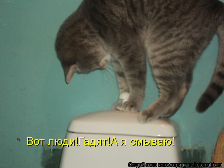 Вот люди!Гадят!А я смываю!... Котоматрица: Вот люди!Гадят!А я смываю!