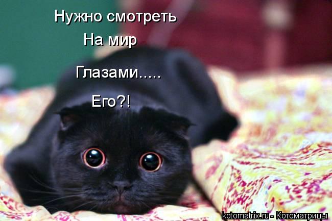 Нужно смотреть На мир Глазами..... Его?!... Котоматрица: Нужно смотреть На мир Глазами..... Его?!