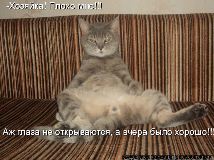 -Хозяйка! Плохо мне!!! Аж глаза не открываются, а вчера было хорошо!!!... Котоматрица: -Хозяйка! Плохо мне!!! Аж глаза не открываются, а вчера было хорошо!!!