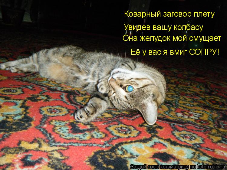 Её у вас я вмиг СОПРУ! Она желудок мой смущает Увидев вашу колбасу Коварный заговор плету... Котоматрица: Её у вас я вмиг СОПРУ! Она желудок мой смущает Увидев вашу колбасу Коварный заговор плету