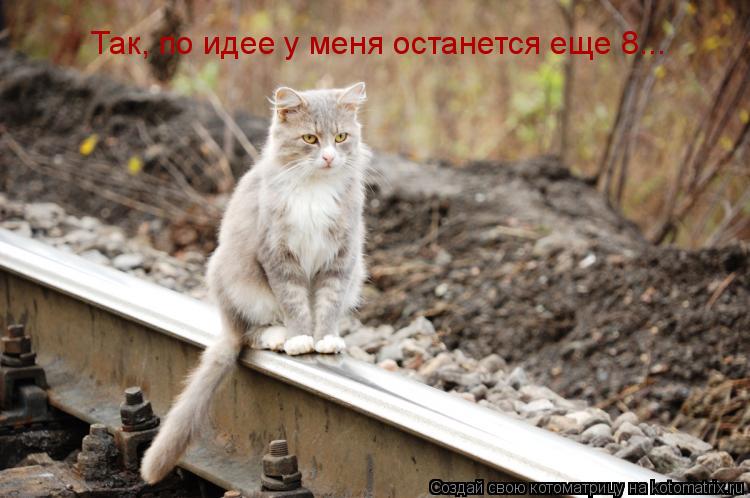 Так, по идее у меня останется еще 8...... Котоматрица: Так, по идее у меня останется еще 8...