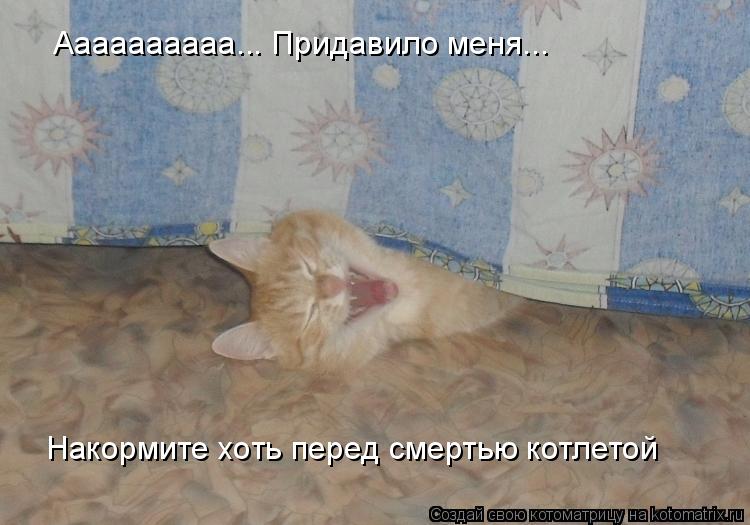 Аааааааааа... Придавило меня... Накормите хоть перед смертью котлетой... Котоматрица: Аааааааааа... Придавило меня... Накормите хоть перед смертью котлетой