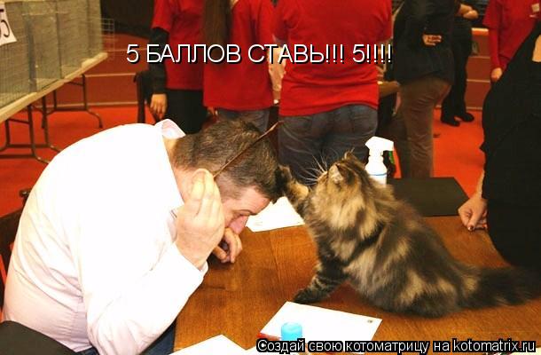 5 БАЛЛОВ СТАВЬ!!! 5!!!!... Котоматрица: 5 БАЛЛОВ СТАВЬ!!! 5!!!!