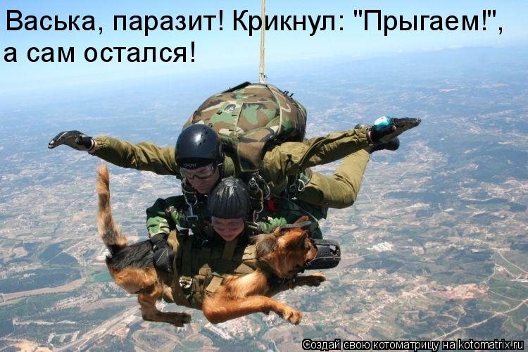 Васька, паразит! Крикнул: "Прыгаем!", а сам остался!... Котоматрица: Васька, паразит! Крикнул: "Прыгаем!", а сам остался!