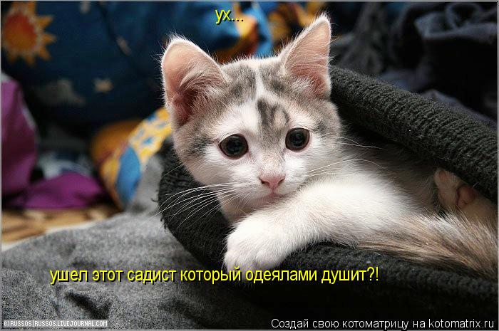 ух... ушел этот садист который одеялами душит?!... Котоматрица: ух... ушел этот садист который одеялами душит?!