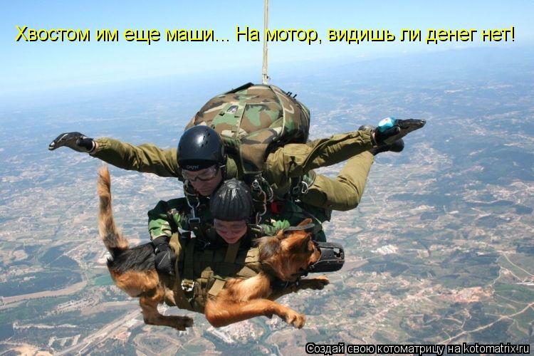 Хвостом им еще маши... На мотор, видишь ли денег нет!... Котоматрица: Хвостом им еще маши... На мотор, видишь ли денег нет!