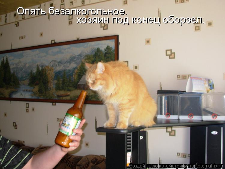 Опять безалкогольное. хозяин под конец оборзел.... Котоматрица: Опять безалкогольное. хозяин под конец оборзел.