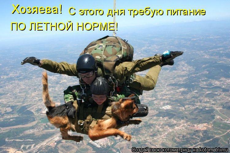 Хозяева! С этого дня требую питание ПО ЛЕТНОЙ НОРМЕ!... Котоматрица: Хозяева! С этого дня требую питание ПО ЛЕТНОЙ НОРМЕ!