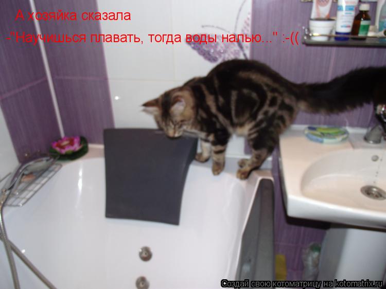 А хозяйка сказала -"Научишься плавать, тогда воды налью..." :-((... Котоматрица: А хозяйка сказала -"Научишься плавать, тогда воды налью..." :-((