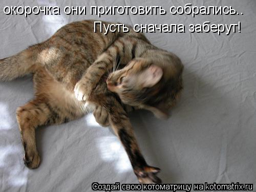 окорочка они приготовить собрались.. Пусть сначала заберут!... Котоматрица: окорочка они приготовить собрались.. Пусть сначала заберут!