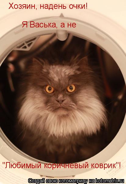 Хозяин, надень очки! Я Васька, а не "Любимый коричневый коврик"!... Котоматрица: Хозяин, надень очки! Я Васька, а не "Любимый коричневый коврик"!
