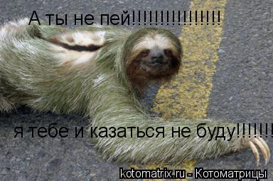 А ты не пей!!!!!!!!!!!!!!!! я тебе и казаться не буду!!!!!!!!!!!... Котоматрица: А ты не пей!!!!!!!!!!!!!!!! я тебе и казаться не буду!!!!!!!!!!!