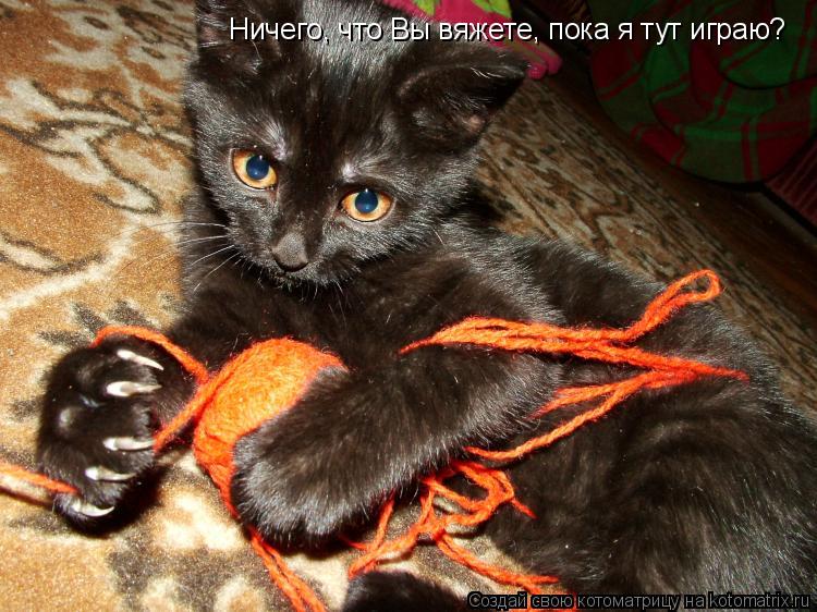 Ничего, что Вы вяжете, пока я тут играю?... Котоматрица: Ничего, что Вы вяжете, пока я тут играю?