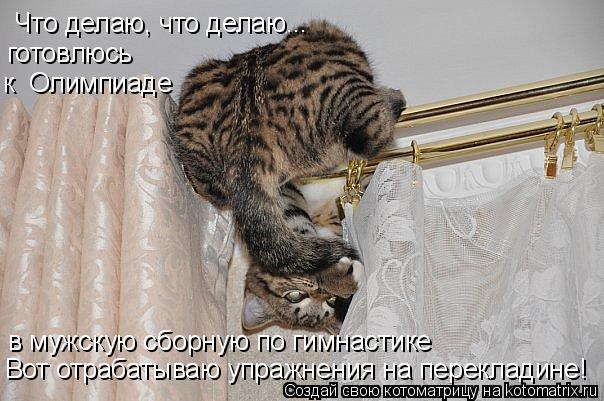 Что делаю, что делаю... готовлюсь к Олимпиаде в мужскую сборную по гимнастике Вот отрабатываю упражн... Котоматрица: Что делаю, что делаю... готовлюсь к Олимпиаде в мужскую сборную по гимнастике Вот отрабатываю упражнения на перекладине!