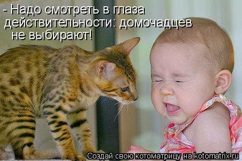 - Надо смотреть в глаза не выбирают! действительности: домочадцев... Котоматрица: - Надо смотреть в глаза не выбирают! действительности: домочадцев