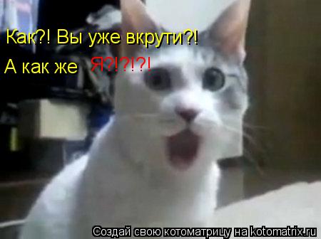 Как?! Вы уже вкрути?! А как же Я?!?!?!... Котоматрица: Как?! Вы уже вкрути?! А как же Я?!?!?!
