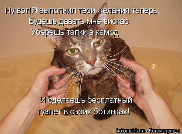 Ну вот!Я выполнил твои желания теперь: Будешь давать мне вискас Уберёшь тапки в камод И сделаешь бесп... Котоматрица: Ну вот!Я выполнил твои желания теперь: Будешь давать мне вискас Уберёшь тапки в камод И сделаешь бесплатный туалет в своих ботинках!