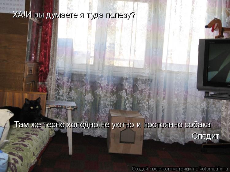 ХА!И вы думаете я туда полезу? Там же тесно,холодно,не уютно и постоянно собака Следит... Котоматрица: ХА!И вы думаете я туда полезу? Там же тесно,холодно,не уютно и постоянно собака Следит