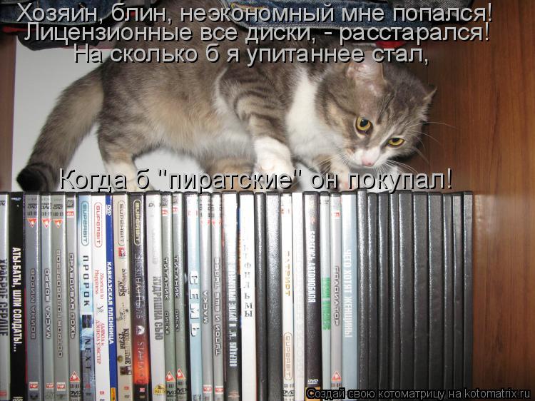 Котоматрица: Хозяин, блин, неэкономный мне попался! Лицензионные все диски, - расстарался! На сколько б я упитаннее стал, Когда б "пиратские" он покупал!