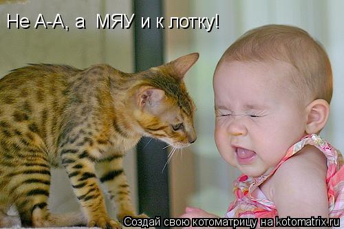 Котоматрица: Не А-А, а  МЯУ и к лотку!