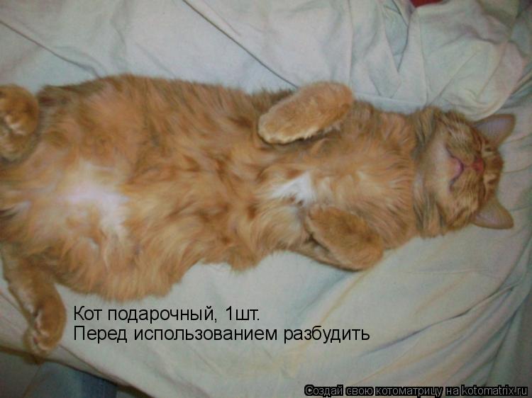 Кот подарочный, 1шт. Перед использованием разбудить... Котоматрица: Кот подарочный, 1шт. Перед использованием разбудить