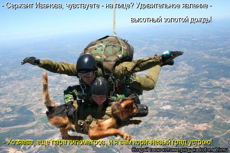 - Сержант Иванова, чувствуете - на лице? Удивительное явление - высотный золотой дождь! - Хозяева, е... Котоматрица: - Сержант Иванова, чувствуете - на лице? Удивительное явление - высотный золотой дождь! - Хозяева, еще пара километров, и я вам коричневый гра