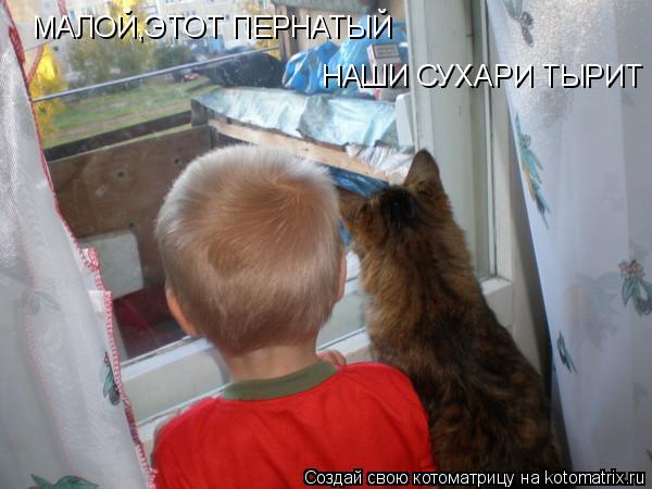 МАЛОЙ,ЭТОТ ПЕРНАТЫЙ НАШИ СУХАРИ ТЫРИТ... Котоматрица: МАЛОЙ,ЭТОТ ПЕРНАТЫЙ НАШИ СУХАРИ ТЫРИТ