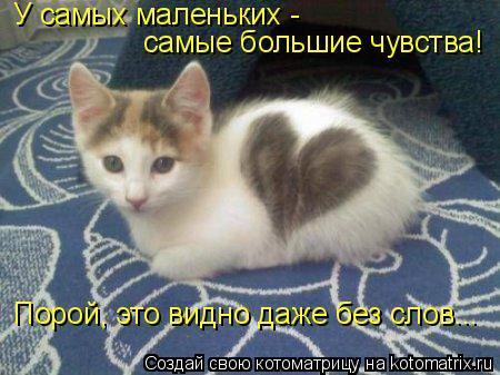 У самых маленьких - самые большие чувства! Порой, это видно даже без слов...... Котоматрица: У самых маленьких - самые большие чувства! Порой, это видно даже без слов...