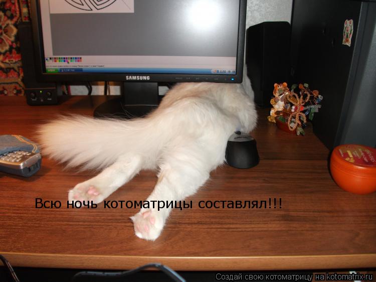 Всю ночь котоматрицы составлял!!!... Котоматрица: Всю ночь котоматрицы составлял!!!