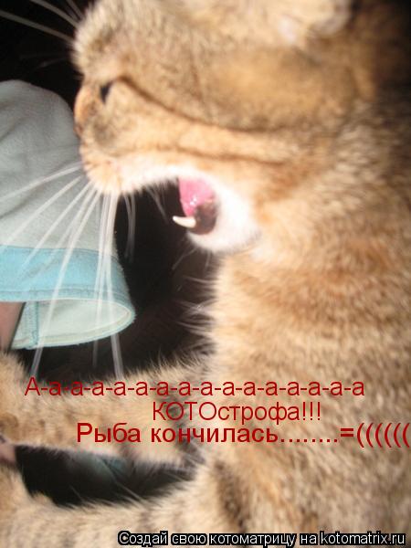 А-а-а-а-а-а-а-а-а-а-а-а-а-а-а-а КОТОстрофа!!! Рыба кончилась........=((((((... Котоматрица: А-а-а-а-а-а-а-а-а-а-а-а-а-а-а-а КОТОстрофа!!! Рыба кончилась........=((((((