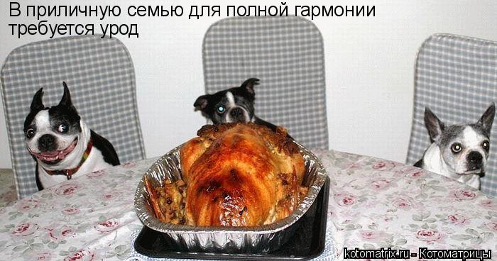 В приличную семью для полной гармонии требуется урод... Котоматрица: В приличную семью для полной гармонии требуется урод
