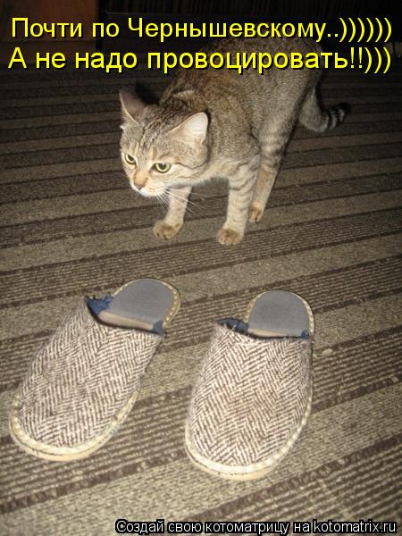 Почти по Чернышевскому..)))))) А не надо провоцировать!!)))... Котоматрица: Почти по Чернышевскому..)))))) А не надо провоцировать!!)))