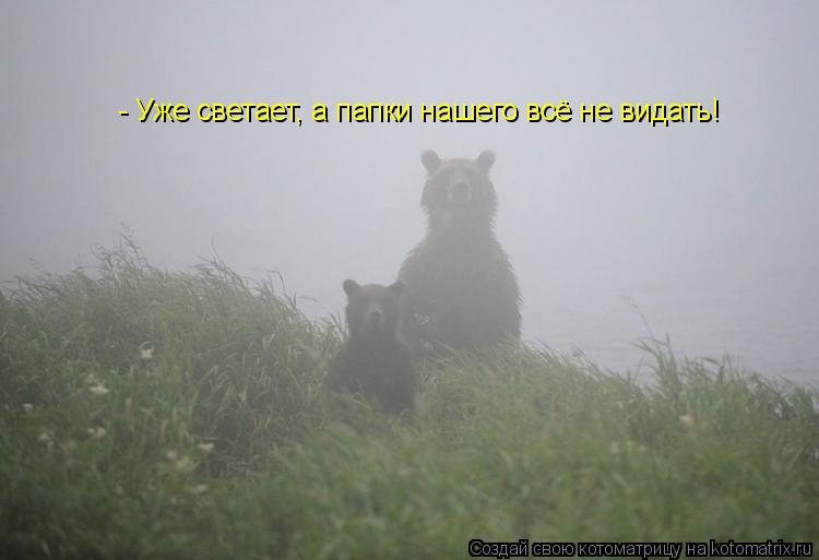 - Уже светает, а папки нашего всё не видать!... Котоматрица: - Уже светает, а папки нашего всё не видать!