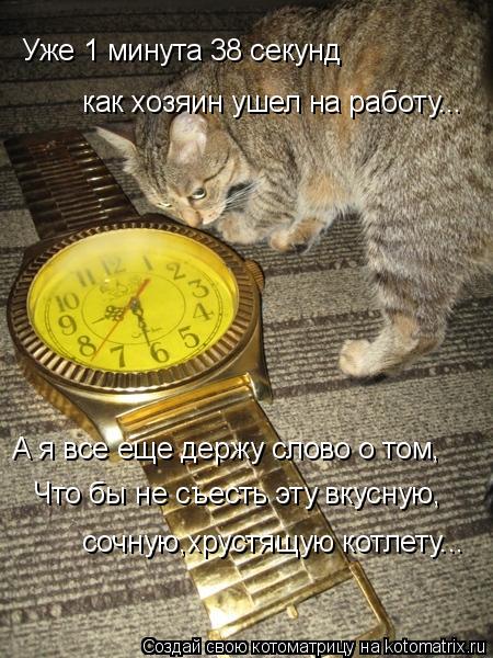 Уже 1 минута 38 секунд как хозяин ушел на работу... А я все еще держу слово о том, Что бы не съесть ... Котоматрица: Уже 1 минута 38 секунд как хозяин ушел на работу... А я все еще держу слово о том, Что бы не съесть эту вкусную, сочную,хрустящую котлету...