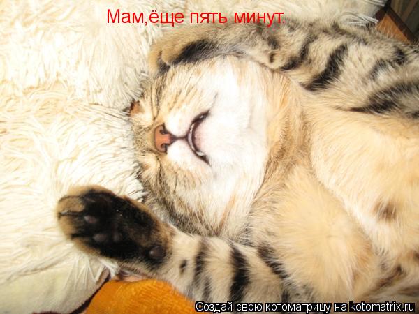 Мам,ёще пять минут.... Котоматрица: Мам,ёще пять минут.