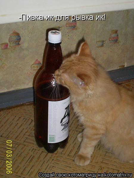 -Пивка ик для рывка ик!... Котоматрица: -Пивка ик для рывка ик!