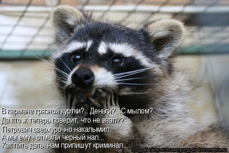 Да кто ж теперь поверит, что не знал?? Петрович сверхурочно накалымил, В кармане грязной куртки?.. Де... Котоматрица: Да кто ж теперь поверит, что не знал?? Петрович сверхурочно накалымил, В кармане грязной куртки?.. Деньги?...С мылом? А мы ему - отмыли черный на