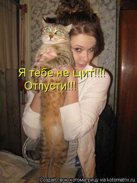 Я тебе не щит!!!! Отпусти!!!... Котоматрица: Я тебе не щит!!!! Отпусти!!!