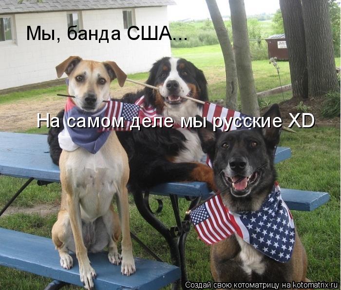 Мы, банда США... На самом деле мы русские XD... Котоматрица: Мы, банда США... На самом деле мы русские XD