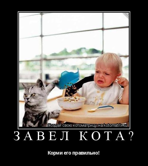 Завёл кота? Корми его правильно!... Котоматрица: Завёл кота? Корми его правильно!