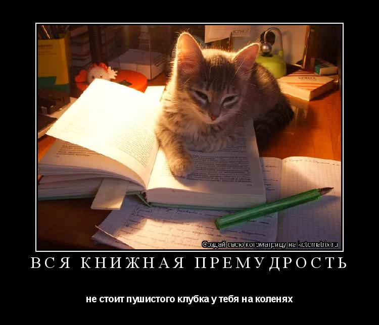 ВСЯ КНИЖНАЯ ПРЕМУДРОСТЬ не стоит пушистого клубка у тебя на коленях... Котоматрица: ВСЯ КНИЖНАЯ ПРЕМУДРОСТЬ не стоит пушистого клубка у тебя на коленях