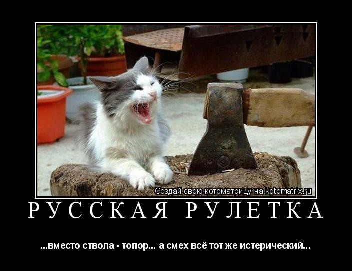 Русская рулетка ...вместо ствола - топор... а смех всё тот же истерический...... Котоматрица: Русская рулетка ...вместо ствола - топор... а смех всё тот же истерический...