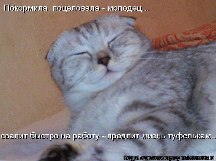 Покормила, поцеловала - молодец... свалит быстро на работу - продлит жизнь туфелькам...... Котоматрица: Покормила, поцеловала - молодец... свалит быстро на работу - продлит жизнь туфелькам...