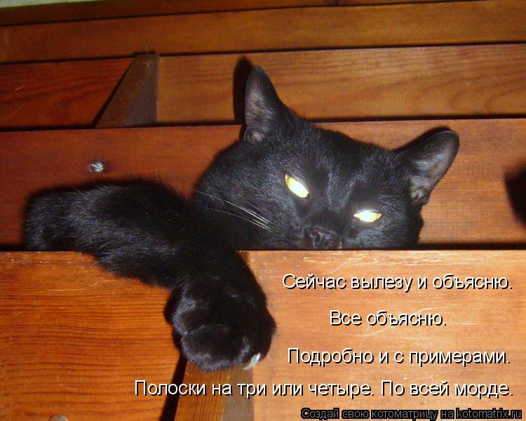 Сейчас вылезу и объясню. Все объясню. Подробно и с примерами. Полоски на три или четыре. По всей морд... Котоматрица: Сейчас вылезу и объясню. Все объясню. Подробно и с примерами. Полоски на три или четыре. По всей морде.