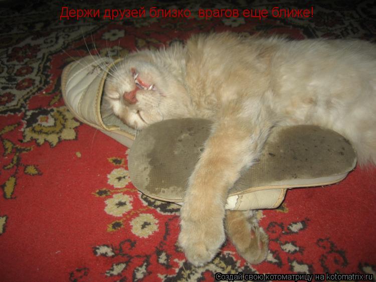 Держи друзей близко, врагов еще ближе!... Котоматрица: Держи друзей близко, врагов еще ближе!
