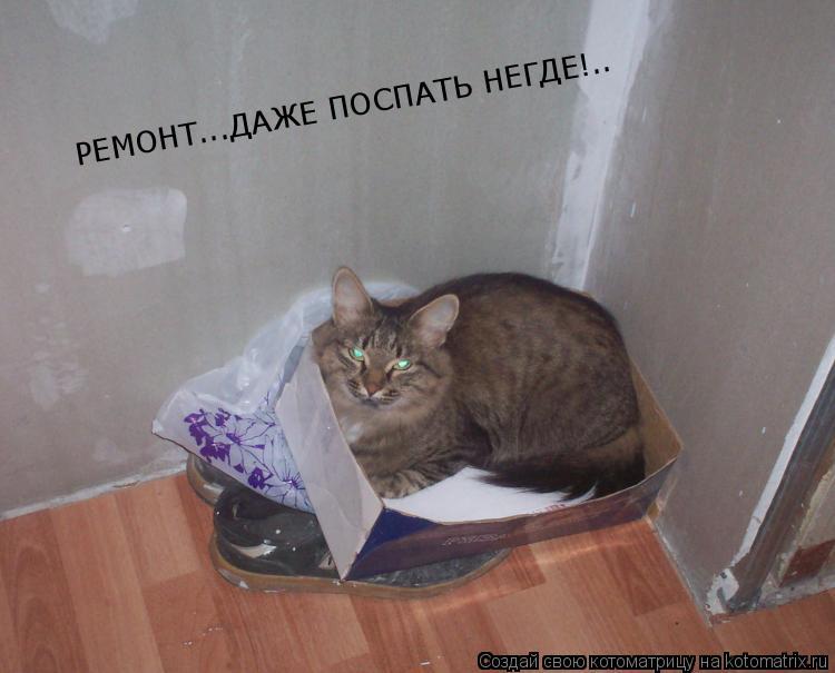 РЕМОНТ...ДАЖЕ ПОСПАТЬ НЕГДЕ!..... Котоматрица: РЕМОНТ...ДАЖЕ ПОСПАТЬ НЕГДЕ!..