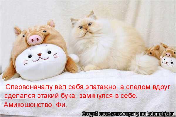 Спервоначалу вёл себя эпатажно, а следом вдруг сделался этакий бука, замкнулся в себе. Амикошонство. ... Котоматрица: Спервоначалу вёл себя эпатажно, а следом вдруг сделался этакий бука, замкнулся в себе. Амикошонство. Фи.