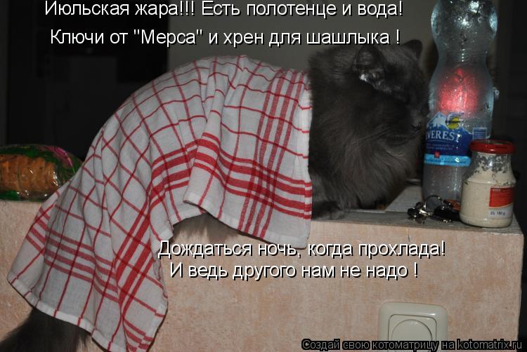 Ключи от "Мерса" и хрен для шашлыка ! Июльская жара!!! Есть полотенце и вода! И ведь другого нам не ... Котоматрица: Ключи от "Мерса" и хрен для шашлыка ! Июльская жара!!! Есть полотенце и вода! И ведь другого нам не надо ! Дождаться ночь, когда прохлада!